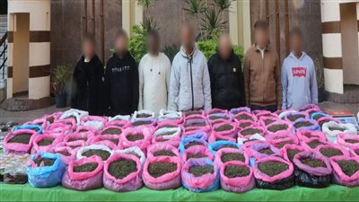  سابوا بلادهم وجايين مصر يتاجروا في الكيف.. حبس 7 أجانب ضبط بحوزتهم مخدرات بـ 8 ملايين جنيه