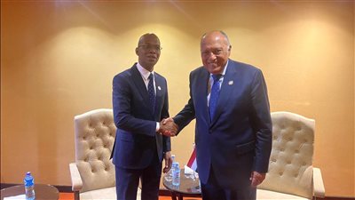 على هامش قمة عدم الانحياز في أوغندا.. وزير الخارجية يلتقي نظيره التنزاني