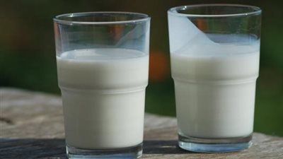 دراسة جديدة: حليب الماعز يتفوق على حليب البقر في دعم صحة العضلات وتقليل الدهون