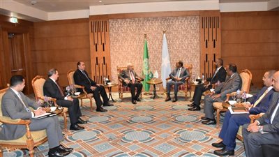 أبو الغيط يؤكد للرئيس الصومالي رفض المذكرة الموقعة بين إثيوبيا وإقليم أرض الصومال 