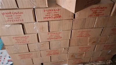 ضبط 1000 قطعة صابون وطن زيت حار في حملة تموينية مكبرة بالغربية 