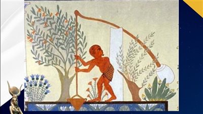 تعرف على طرق ري الأراضي الزراعية عند المصري القديم 