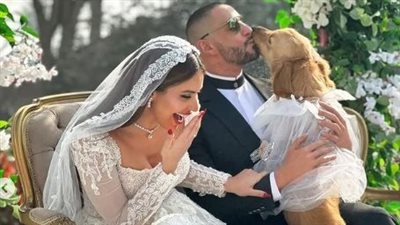 أحمد الفيشاوي يتزوج مي سليم ويقبل كلبًا في فيلم بنقدر ظروفك |صور