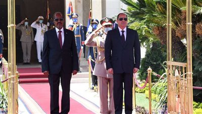 الإحصاء: 27.7% ارتفاعا في قيمة الصادرات المصرية إلى الصومال خلال 11 شهرا