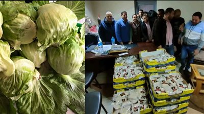 مخدرات في الكابوتشا.. جمارك سفاجا تحبط محاولة تهريب أقراص مخدرة للخارج