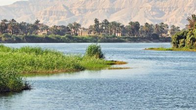 الإحصاء: مليون فدان مساحة الأراضي غير الصالحة للزراعة خلال 2021