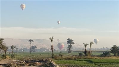 30 رحلة بالون طائر تزين سماء الأقصر على متنها 780 سائحا اليوم