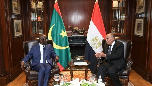 وزير الخارجية ونظيره