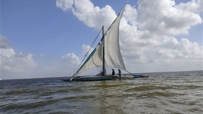 الاستشعار من البُعد تشارك في أعمال المشروع القومي لتطوير ورفع كفاءة البحيرات المصرية| صور 