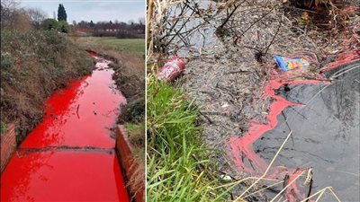 النهر الدموي يثير الرعب في بريطانيا.. هل اقتربت نهاية العالم؟