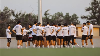  الأغلبية تقطع الطريق أمام تعيين مدرب مصري خلفا لـ فيتوريا مع المنتخب 