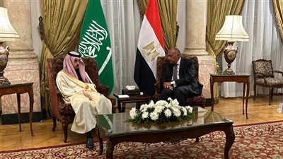 وزير الخارجية يستقبل نظيره السعودي ويعقدان جلسة مباحثات مشتركة | صور