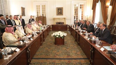مباحثات موسعة بين شكري ووزير الخارجية السعودية حول الوضع في غزة