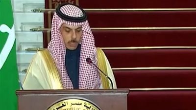 وزير الخارجية السعودي: نتطلع لتعزيز التعاون مع مصر.. ونؤكد أولوية وقف العدوان الإسرائيلي على غزة