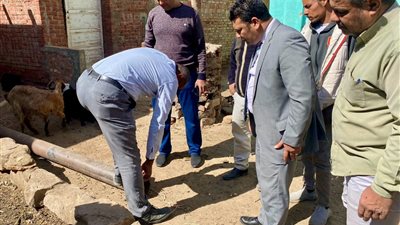 بعد إصابة صغيرة.. النيابة تكلف بسرعة مراجعة أعمدة الإنارة والإنشاءات الملحقة بأسوان للتأكد من اشتراطات السلامة