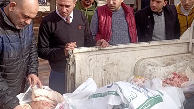 ضبط نصف طن لحوم ودواجن غير صالحة للاستهلاك الآدمي بالمنوفية