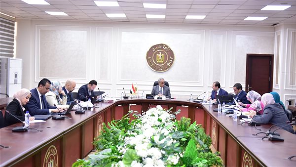 حسن شحاتة وزير العمل