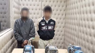 سقوط 12 لصا خلال حملة أمنية بالقاهرة 