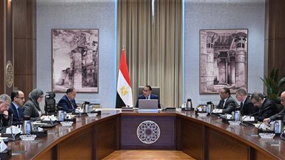 اجتماع حكومي بشأن تشكيل المجلس الوطني لتوطين صناعة الرقائق الإلكترونية