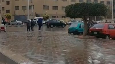 صقيع ونشاط للرياح.. أمطار غزيرة وتقلبات جوية تضرب مدن وقرى الدقهلية | بث مباشر