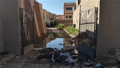 الشهر العقاري يسبح في بركة صرف صحي.. ومواطنو القرنة بالأقصر والموظفون: الريحة خنقتنا