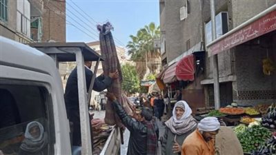 رفع 239 حالة إشغال طريق مخالفة بـ4 مراكز بالبحيرة