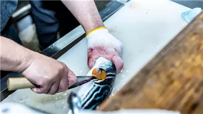 أهداها له صديقه.. وفاة برازيلي بعد تناوله سمكة منتفخة مميتة