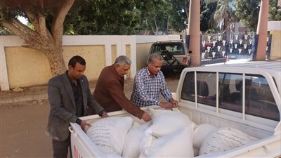 تحرير 50 محضرًا للتصرف في دقيق المخابز البلدية بالغربية 