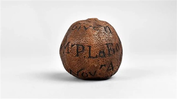 ليمونة عمرها 285