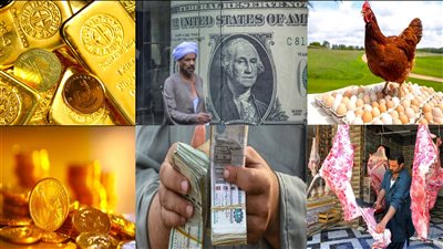 سيناريوهات مؤسفة.. تحركات الدولار والذهب والدواجن واللحوم والبيض تتضاعف في 2024 | تقرير