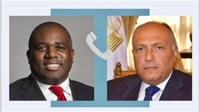 شكري يؤكد قلق مصر البالغ بشأن العمليات العسكرية في جنوب البحر الأحمر 