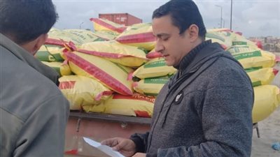 ضبط 12 طن ذرة صفراء مجهولة المصدر في حملة تموينية بالإسكندرية 