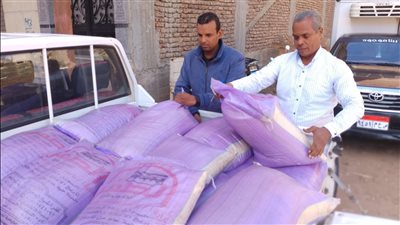 أغذية وسجائر فاسدة.. تموين الأقصر يحبط طرح سلع منتهية الصلاحية بالأسواق 