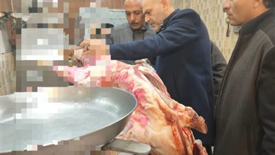 ضبط 10 أطنان لحوم وأسماك غير صالحة للاستهلاك الآدمي بالمنوفية