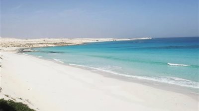 تحصيل 42 مليار دولار.. تفاصيل جديدة عن مشروع مدينة رأس الحكمة