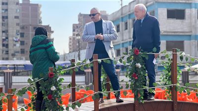 مشروعات استثمارية بقيمة إنشائية تصل إلى 70 مليون جنيه بمراكز شباب قليوب