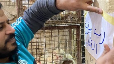 بعد وصول سعر الدواجن البيضاء بالأقصر لـ100 جنيه.. تاجر يعلق لافتة: ربنا يرفع الغلاء