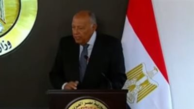 اليوم.. وزير الخارجية يستقبل نظيره السنغافوري لإجراء مباحثات موسعة 