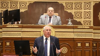 وزير الزراعة أمام مجلس الشيوخ: الرؤية الثاقبة للقيادة السياسية مكنت الدولة من توفير الأمن الغذائي للمواطنين