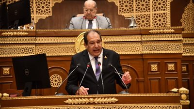 مجلس الشيوخ يحيل طلب المناقشة العامة بشأن سبل تعزيز الصادرات للجنة مشتركة