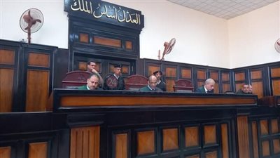 لعنة الميراث.. المشدد 10 سنوات لشاب أنهى حياة ابن عمته في أسيوط