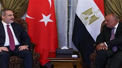 وزير خارجية تركيا: عملية تطبيع العلاقات مع مصر اكتملت إلى حد كبير