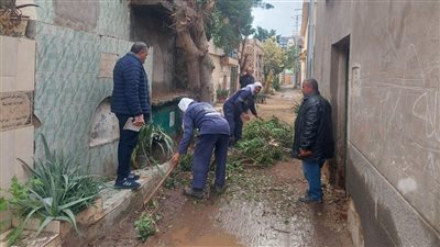 حملة مكبرة لتنظيف مقابر مدينة دسوق بكفر الشيخ | صور 