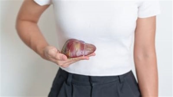 الكبد - تعبيرية 