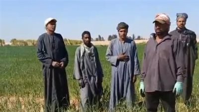 مزارعو المراشدة في قنا يستغيثون: مياه الري بقالها شهر مجتش والقمح تضرر| بث مباشر 