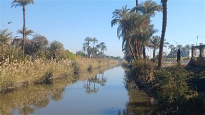 بعد نشر القاهرة 24.. ضخ المياه لري الزراعات بعد توقفها شهر بقرية المراشدة في قنا