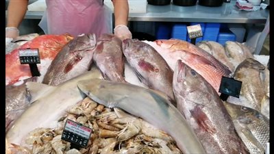 أسعار الأسماك اليوم الجمعة 8 نوفمبر