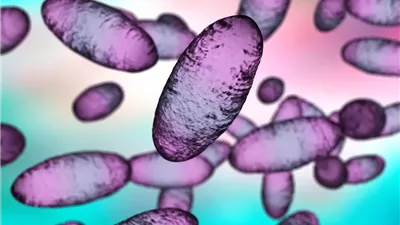 أبرزها الطاعون والسالمونيلا.. الصحة العالمية تدمج أمراضا جديدة إلى قائمة المراقبة الخاصة