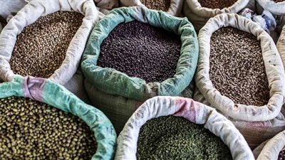 تزيد من البروتين وتحافظ على البيئة.. في اليوم العالمي للبقول تعرف على أهميتها 