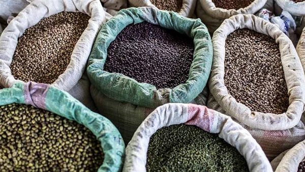 اليوم العالمي للبقول